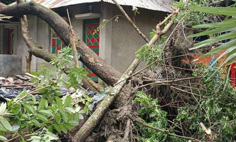 ফেনীতে আকস্মিক টর্নেডোয় লণ্ডভণ্ড ৩৫ পরিবার