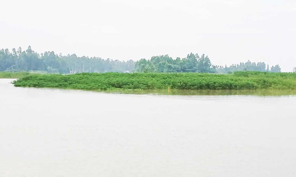 কুড়িগ্রামে বাড়ছে নদ-নদীর পানি