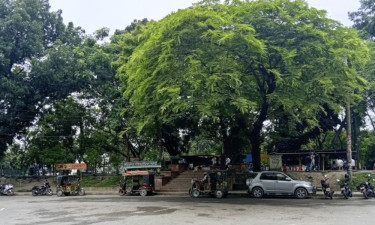 রাজশাহীর শিমলা পার্ককে বিশেষ জীববৈচিত্র্য সংরক্ষণ এলাকা ঘোষণা
