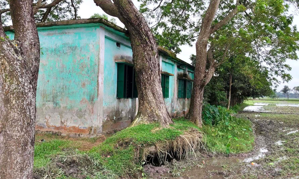 তিন মাসেও সরেনি বিদ্যালয় ভবনে উপড়ে পড়া গাছ