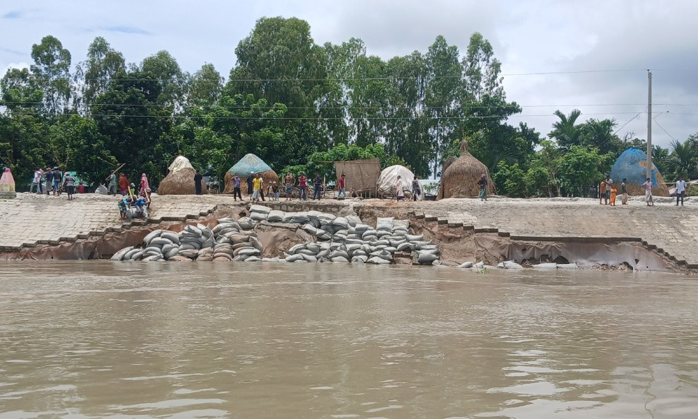 চিলমারীতে ব্রহ্মপুত্র নদের ডান তীর রক্ষা বাঁধে ধস, কাজে আসছে না জিও ব্যাগ