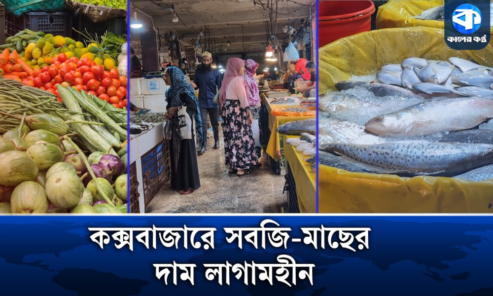 সবজিতে সেঞ্চুরি, সমুদ্র অঞ্চলে সামুদ্রিক মাছের সংকট