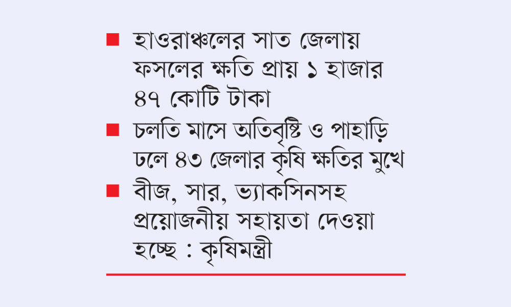 বন্যায় ৬ লাখ টন চাল উৎপাদন কমার শঙ্কা