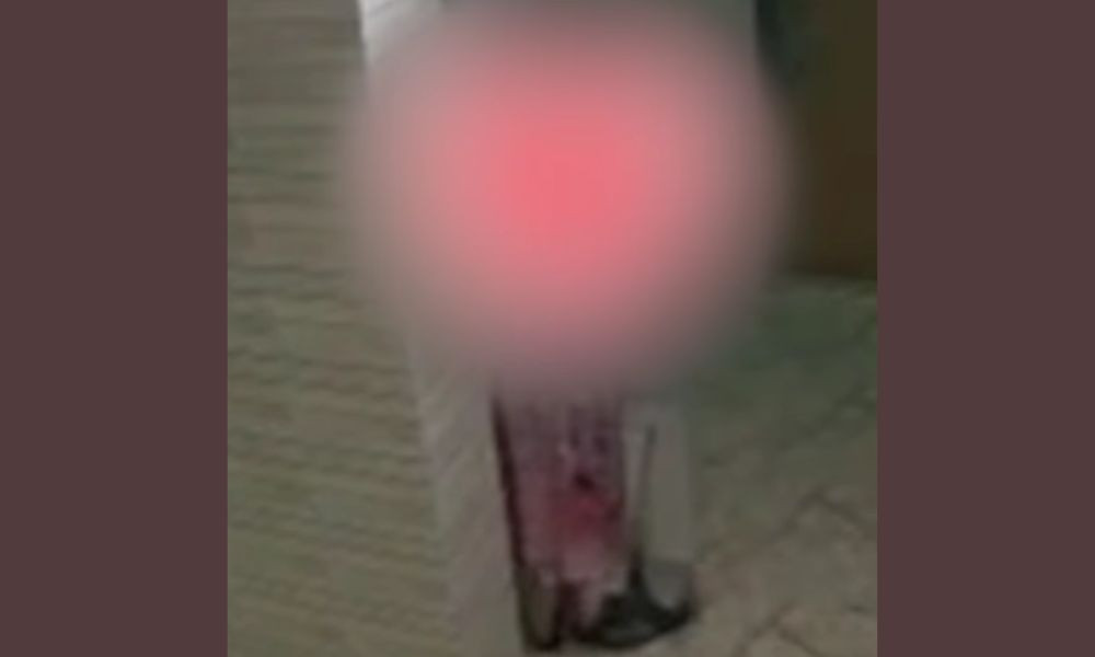 এমপি গাজী নজরুলের আরো এক ভিডিও ভাইরাল, সঙ্গে তরুণী