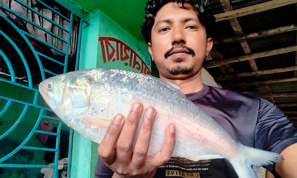 বঙ্গোপসাগরে ধরা পড়া এক ইলিশ বিক্রি ৬৮২৫ টাকায়