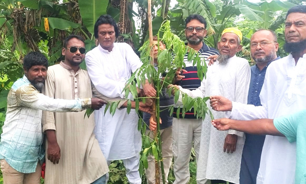 পিরোজপুরে কৃষক দলের ৫০ হাজার বৃক্ষরোপণ কর্মসূচির উদ্বোধন