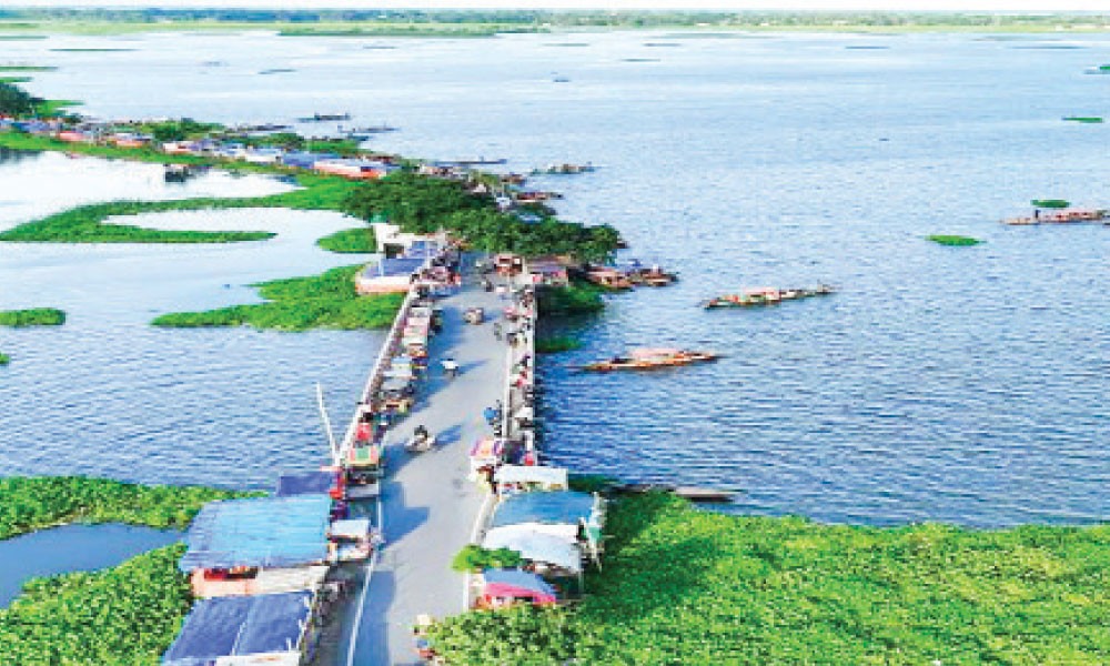 রঙিন ক্যানভাস হাঁসাইগাড়ী বিল