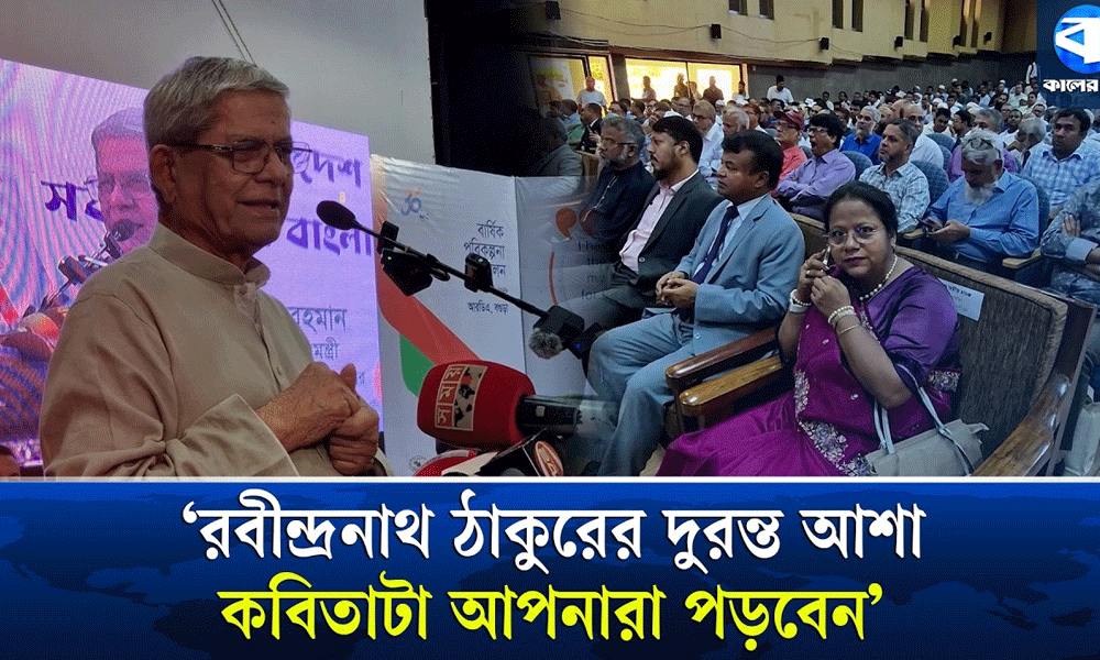 আমরা কাজের চেয়ে রাজনীতি করতে বেশি পছন্দ করি : মির্জা ফখরুল