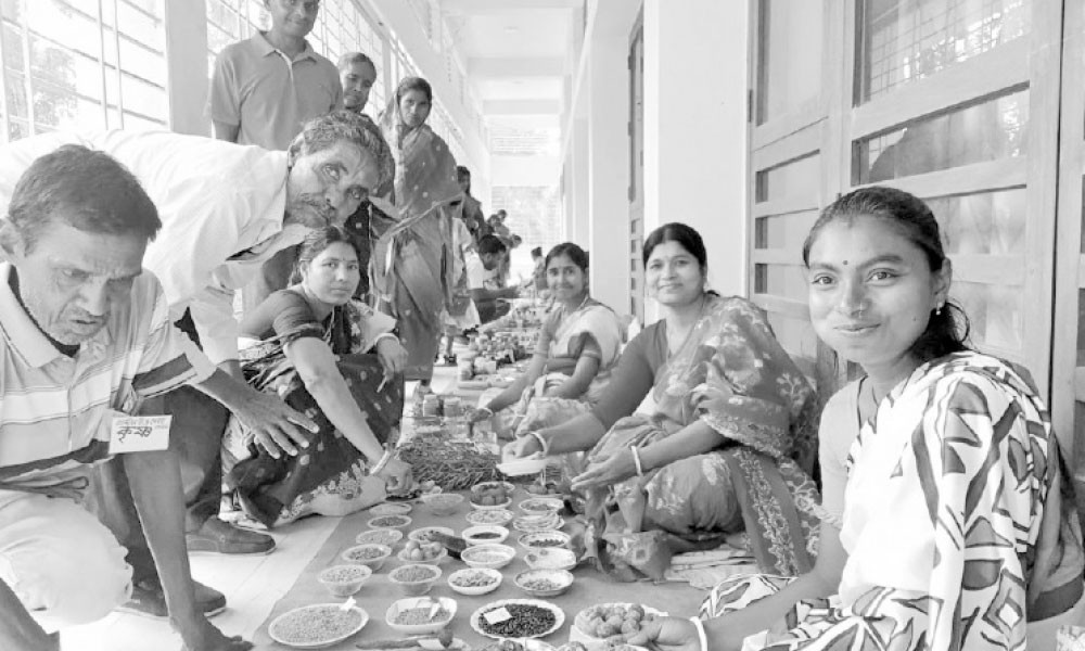 হারিয়ে যাচ্ছে দেশীয় বীজ