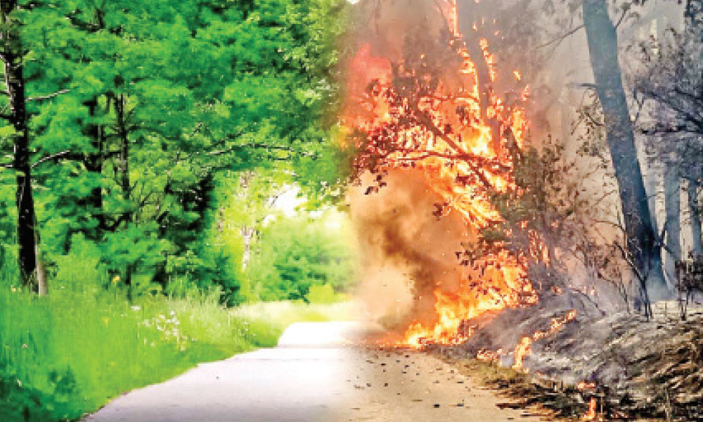 আত্মিক অবক্ষয়ের বিভিন্ন ধাপ