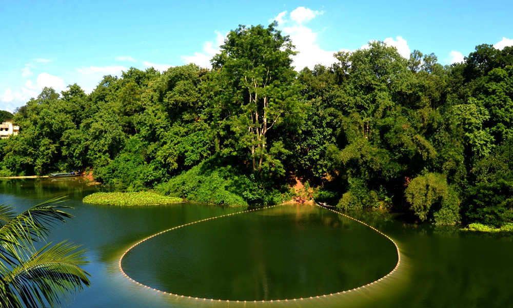 কাপ্তাই হ্রদে মাছ আহরণ শুরু ১১ আগস্ট
