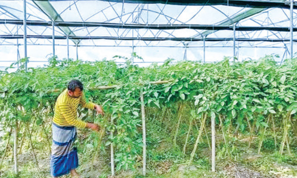 এইচএসসির প্রস্তুতি : বহু নির্বাচনী মডেল প্রশ্ন