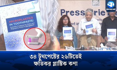বাজারের বেশির ভাগ টুথপেস্টেই ক্ষতিকর প্লাস্টিককণা : গবেষণা