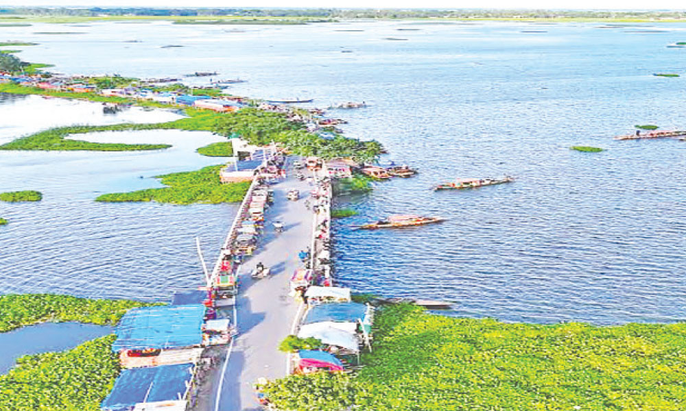 বর্ষায় হাসে নওগাঁর হাঁসাইগাড়ী বিল