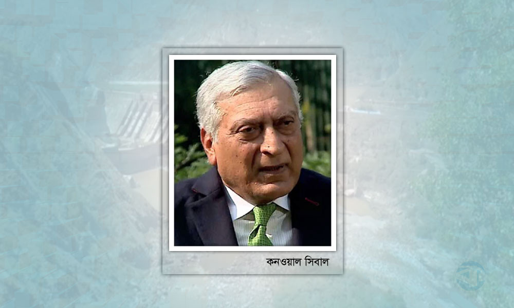 সিন্ধু পানি চুক্তি, হেগ ও ভারতের ওপর চাপ তৈরিতে পাকিস্তানের দীর্ঘ চেষ্টা