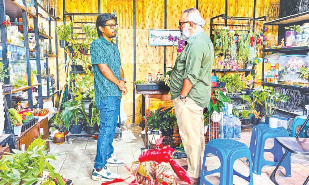 বাড়ছে ইনডোর প্লান্টের বাণিজ্যিক সম্ভাবনা
