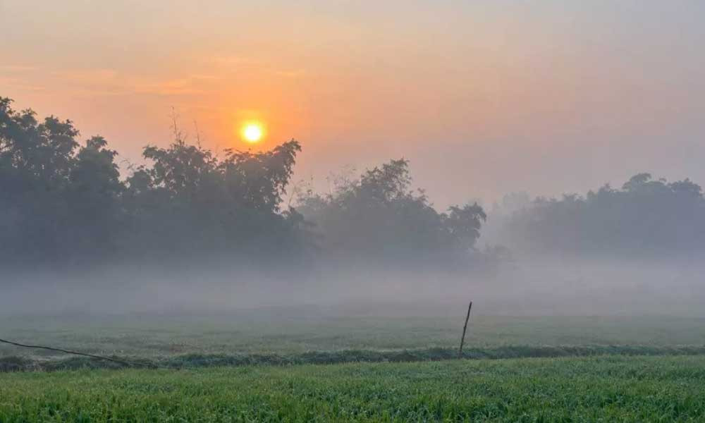 এবার শীত কেমন হবে? জানাল অধিদপ্তর