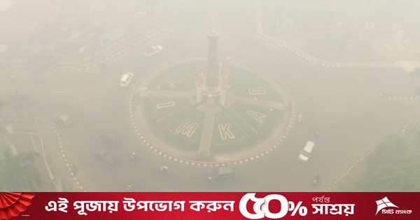 দাবানলের ধোঁয়া নিয়ে বিরোধ, সিঙ্গাপুরে গ্যাস সরবরাহ কমাল ইন্দোনেশিয়া