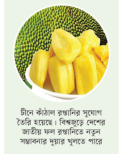 বিশ্বে ডুরিয়ান রপ্তানিতে ১৫ বিলিয়ন ডলারের হাতছানি