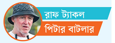 এভাবে খেললে ইংল্যান্ডের রক্ষা নেই