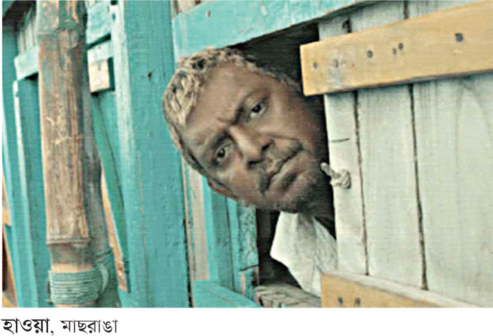 টিভিতে নতুন ছবি