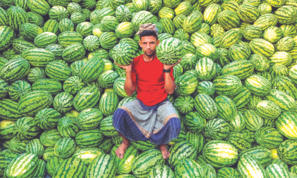 ছবির ভাষায় গল্প বলেন মাহফুজ