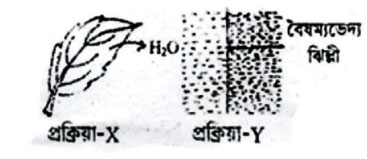 নবম ও দশম শ্রেণি : জীববিজ্ঞান