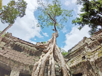 মধ্যযুগের বিস্ময়কর এক প্রত্নতাত্ত্বিক উদ্যানে