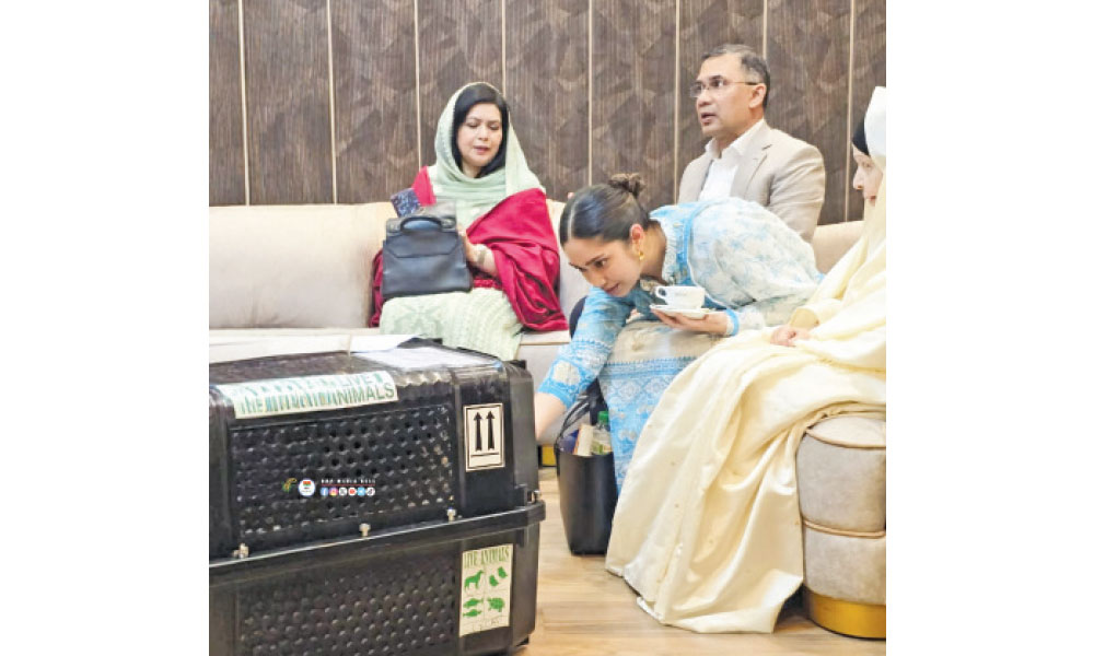 স্বদেশের মাটিতে স্বজন