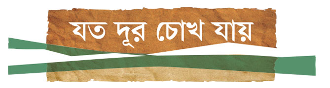 হিজল ফুলের দিন