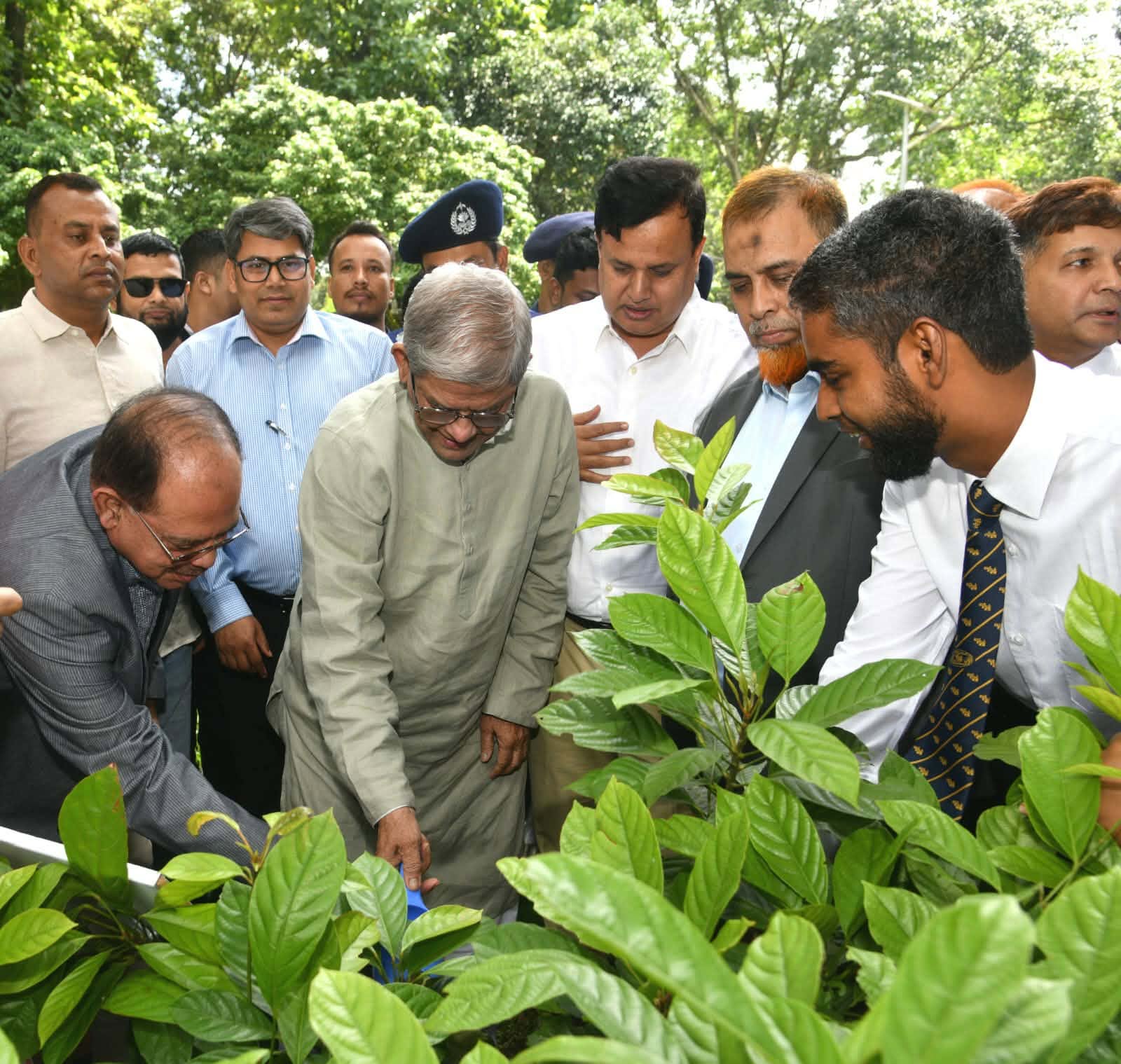 দদ