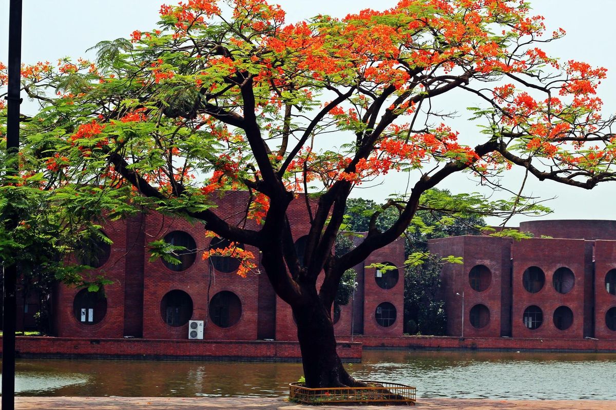 বন
